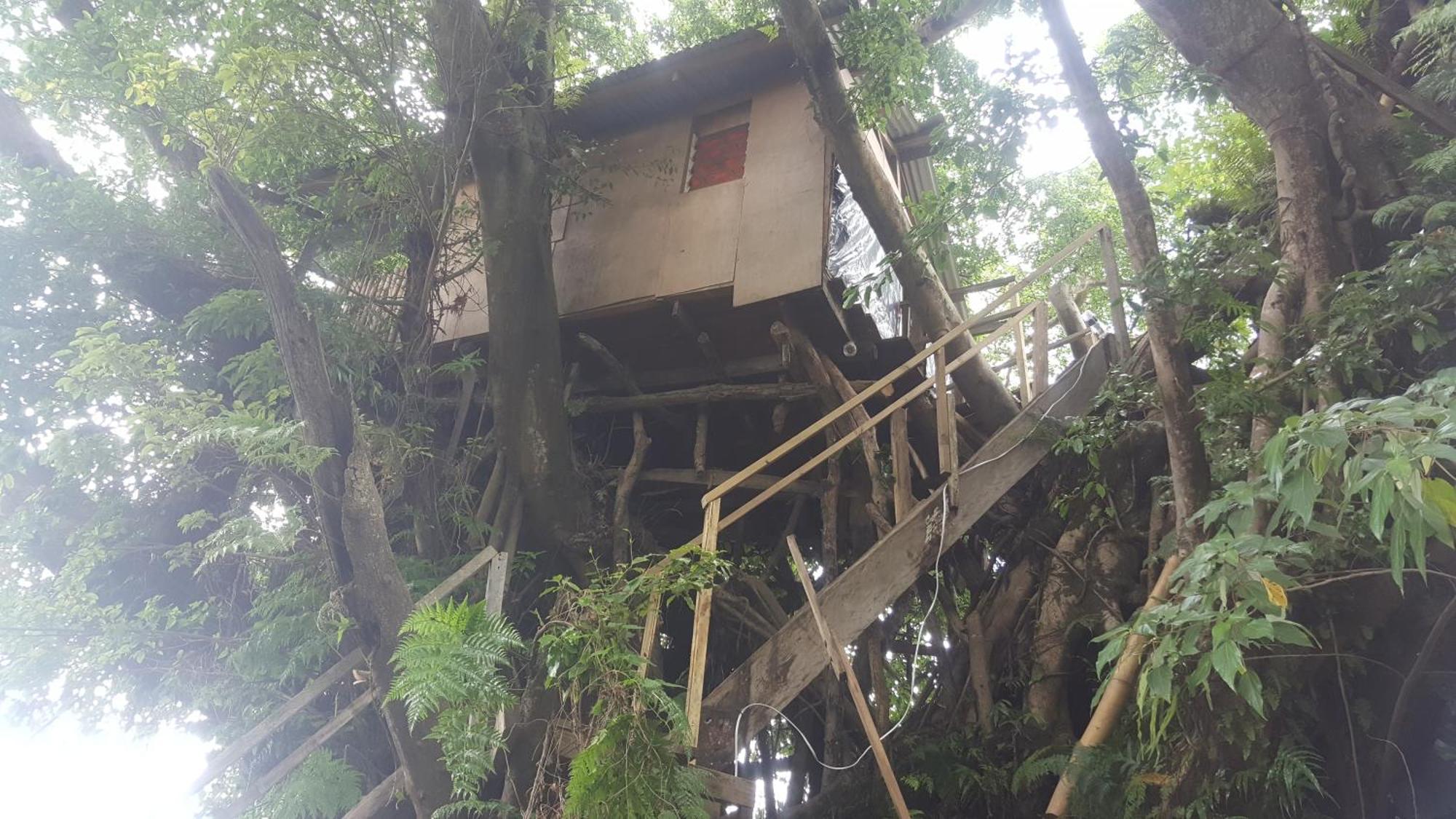 Castle Tree House And Bungalow White Sands 部屋 写真