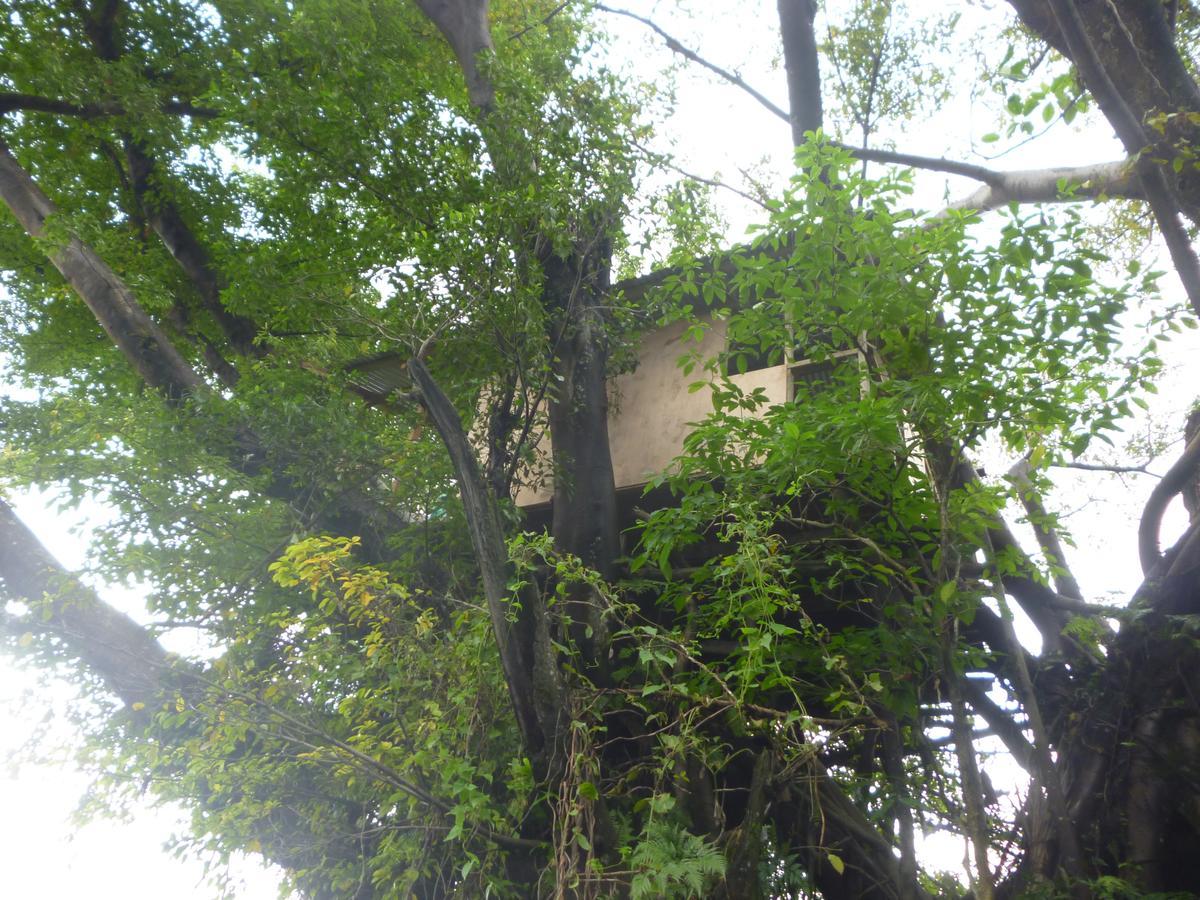 Castle Tree House And Bungalow White Sands エクステリア 写真