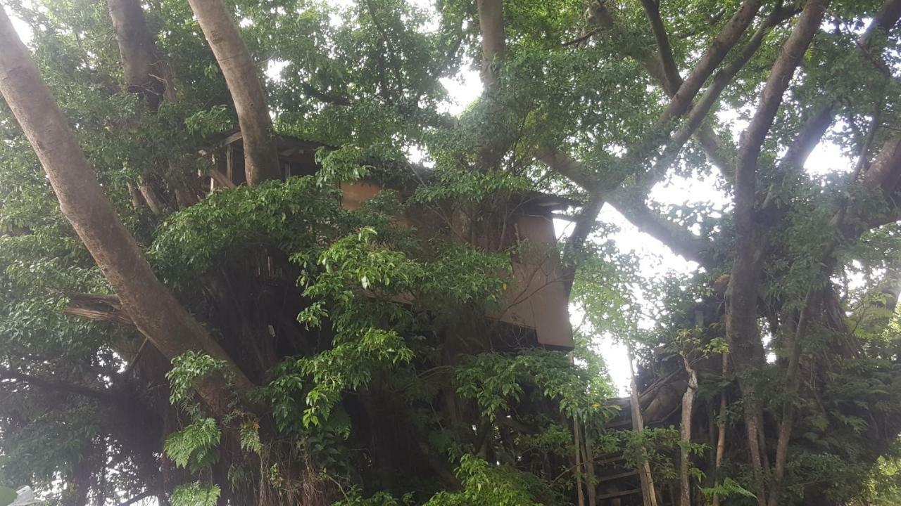 Castle Tree House And Bungalow White Sands エクステリア 写真
