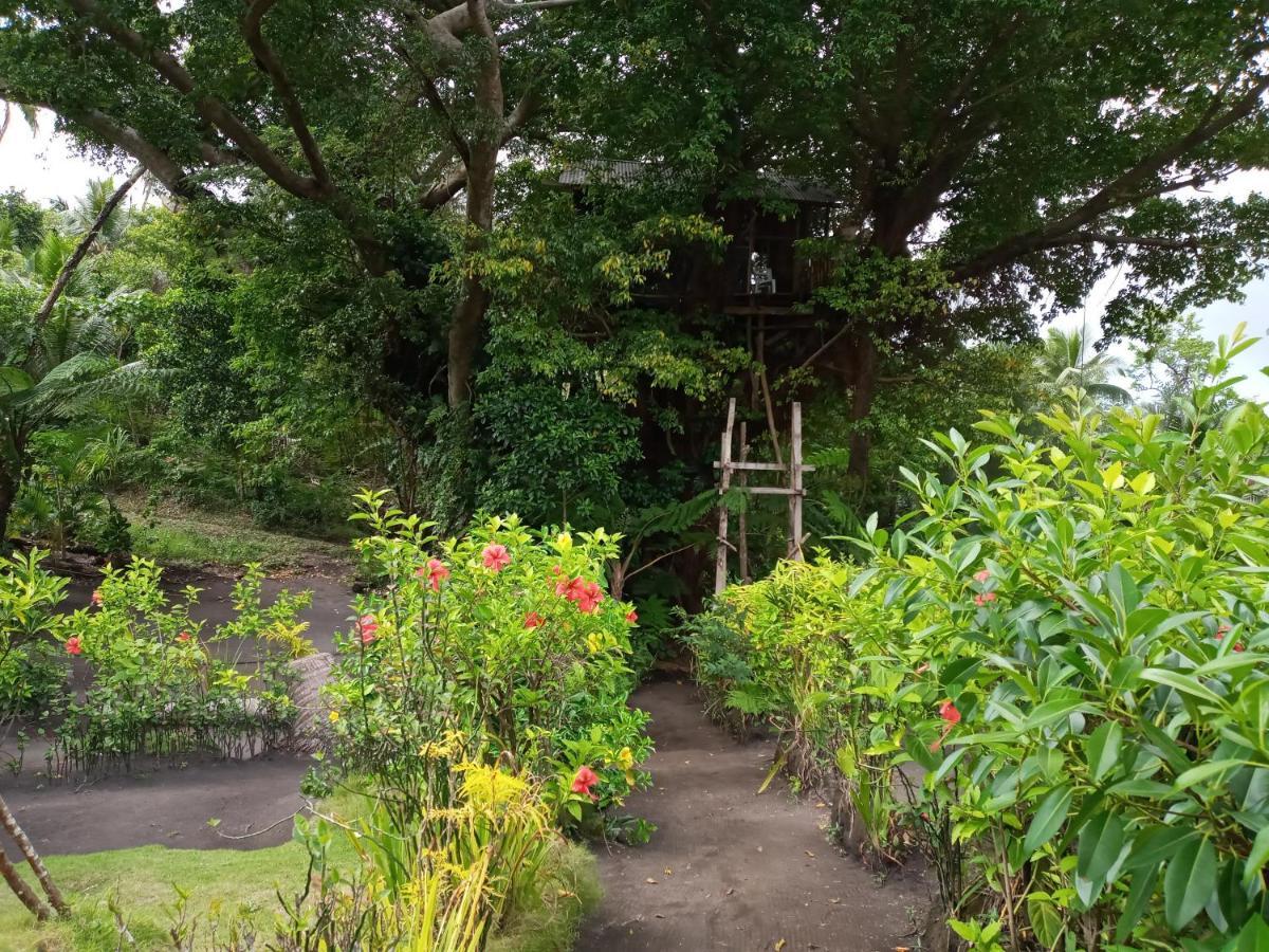 Castle Tree House And Bungalow White Sands エクステリア 写真